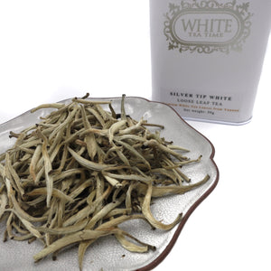 silver tip white tea improves immunity premium tea in pyramid bags